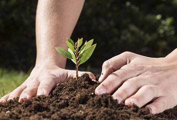 estudia ingenier�a ambiental