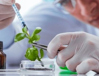 biotecnolog�a