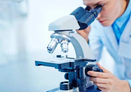 la biotecnolog�a en la industria
