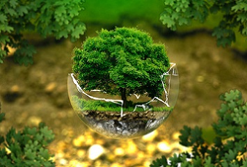 estudia la licenciatura en ecolog�a