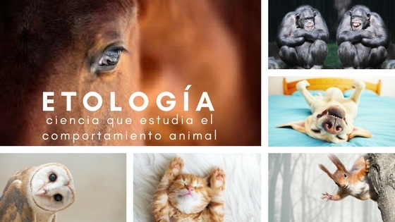 la  etolog�a