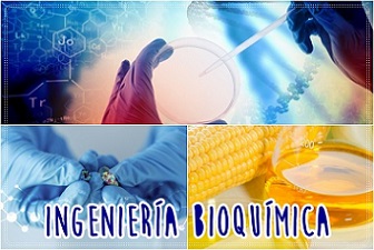 objetivo de la ingenier�a bioqu�mica