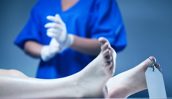 estudios cient�ficos forenses para aclarar delitos