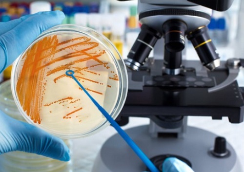 arte de la microbiología arte de la microbiología