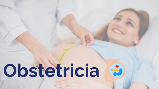 la obstetricia como profesi�n